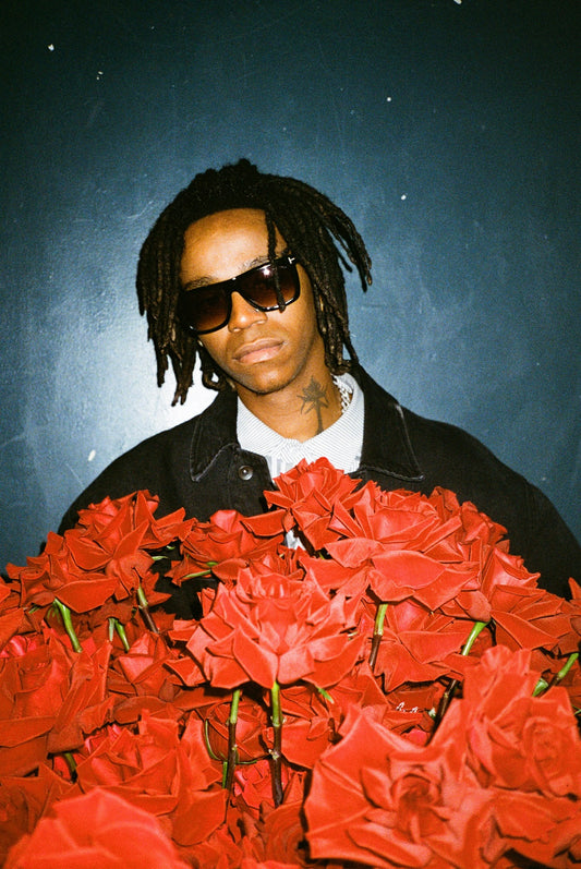 10/10 DC The Don Print