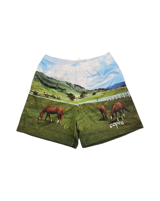 Copes 'Majestic Meadow' Mesh Shorts