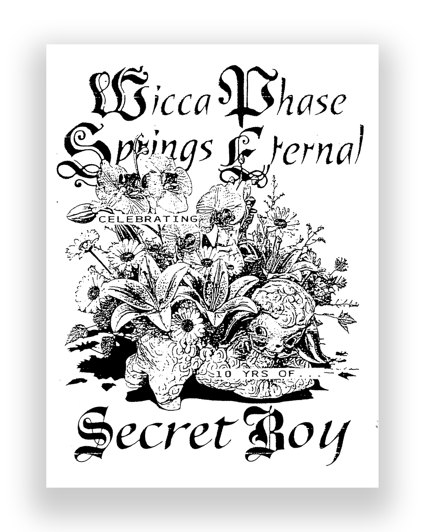 Secret Boy Tour Poster