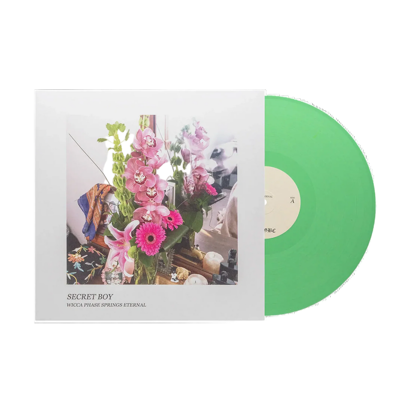 Wicca Phase Secret Boy Vinyl