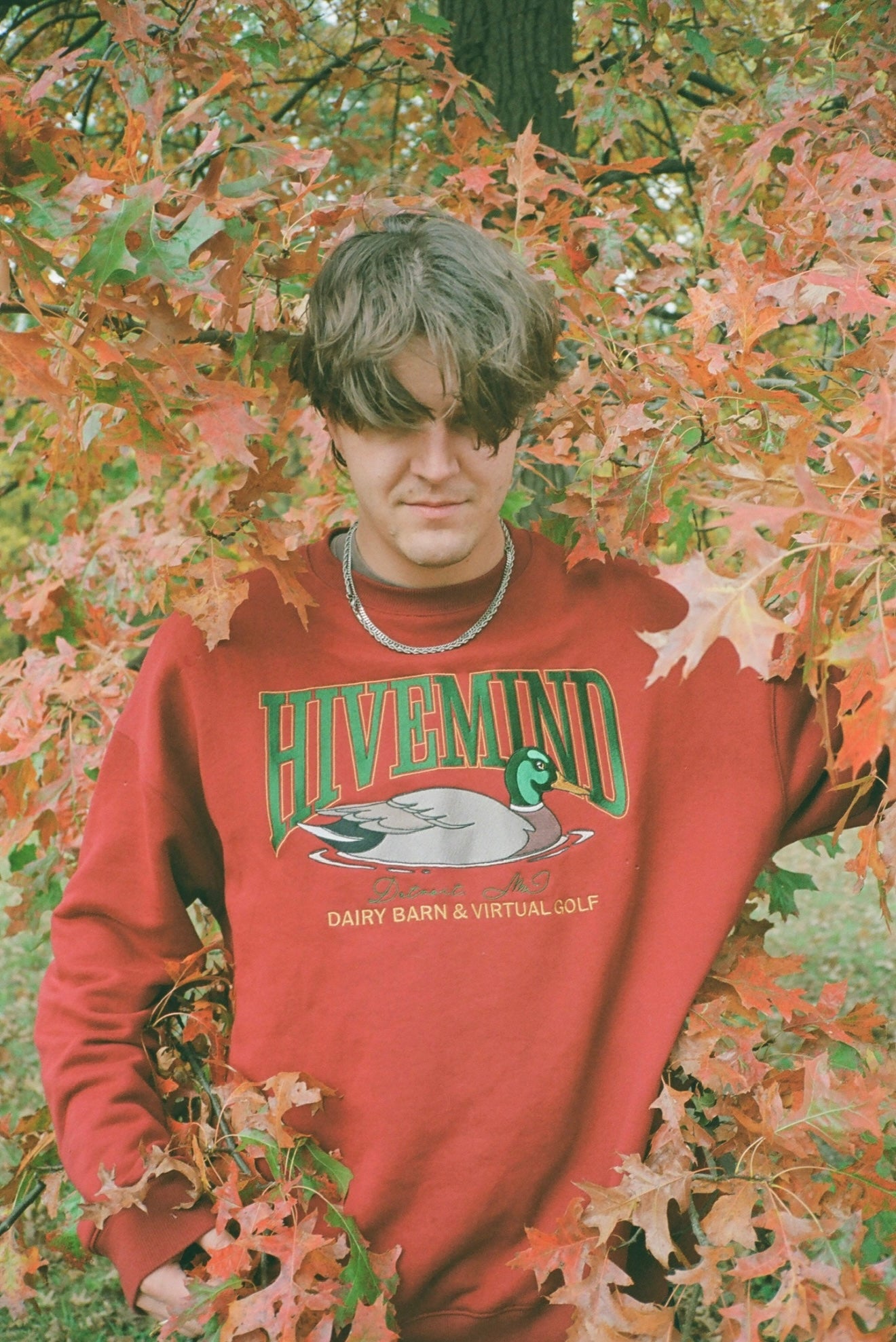 10/10 Graydon Fall Leafs Print