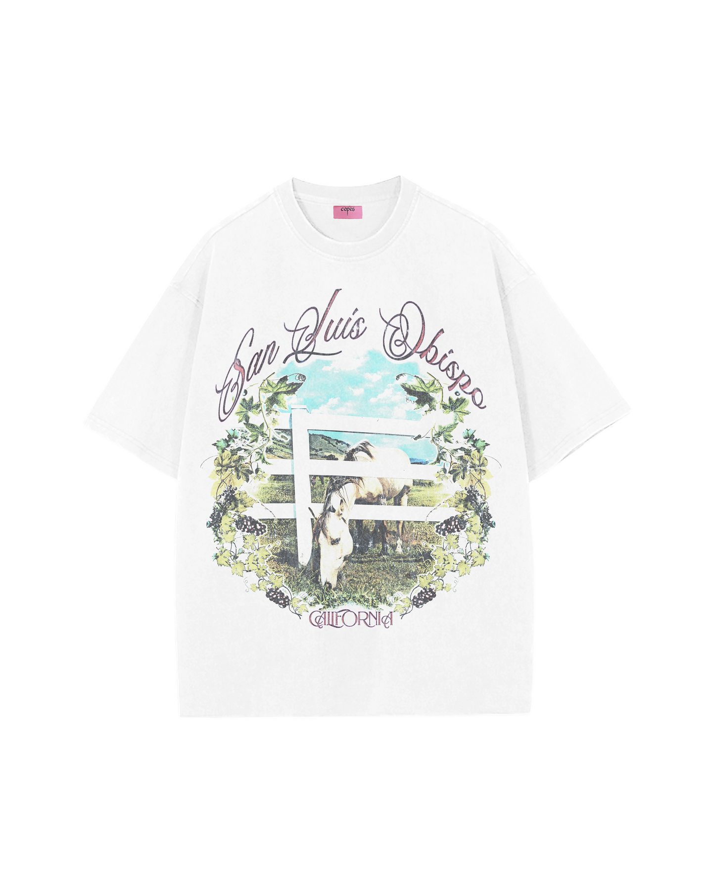 Limited Edition San Luis Obispo T-Shirt