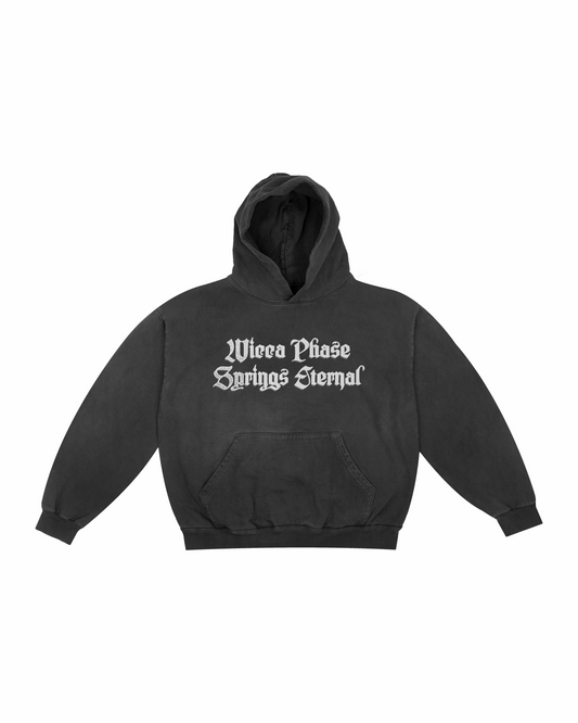 Secret Boy Tour Hoodie