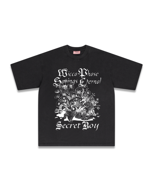 Wicca Phase '10 Years of Secret Boy' T-Shirt